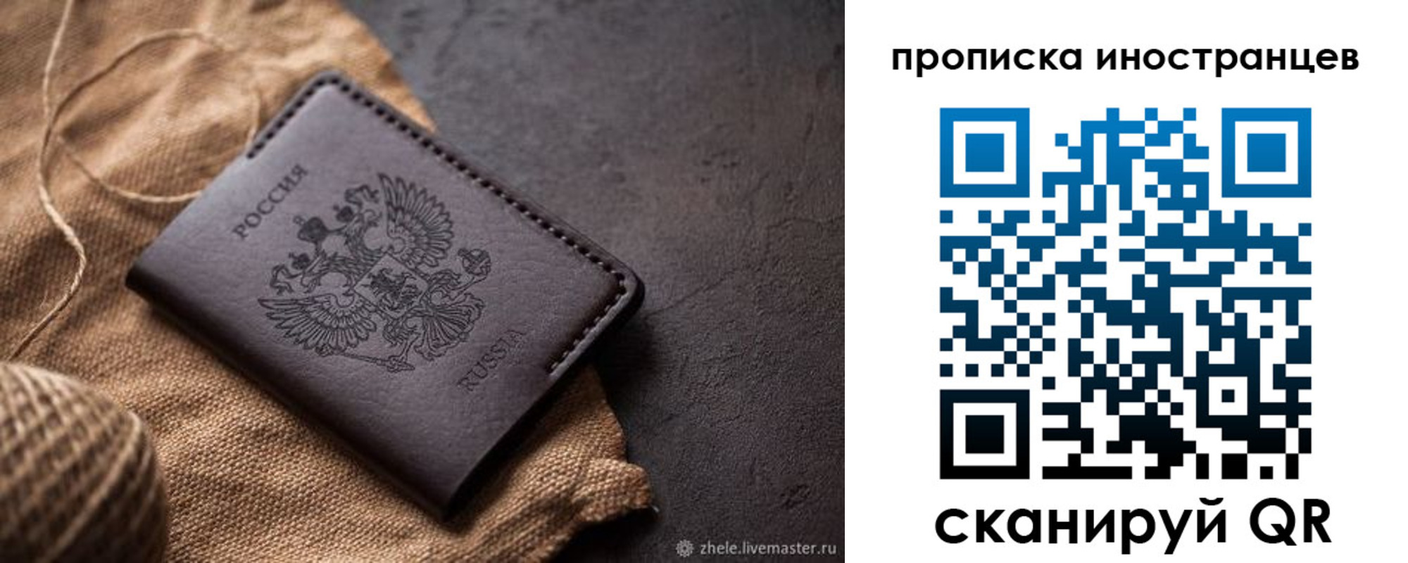 прописка поиск в Светлом